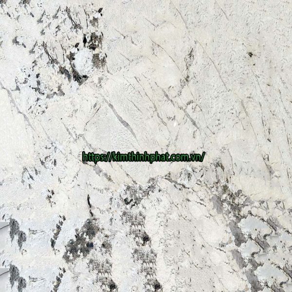 da-hoa-cuong-trang-0205